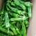 精品薄皮椒芜湖椒湖北鲜辣椒青椒可视频看货