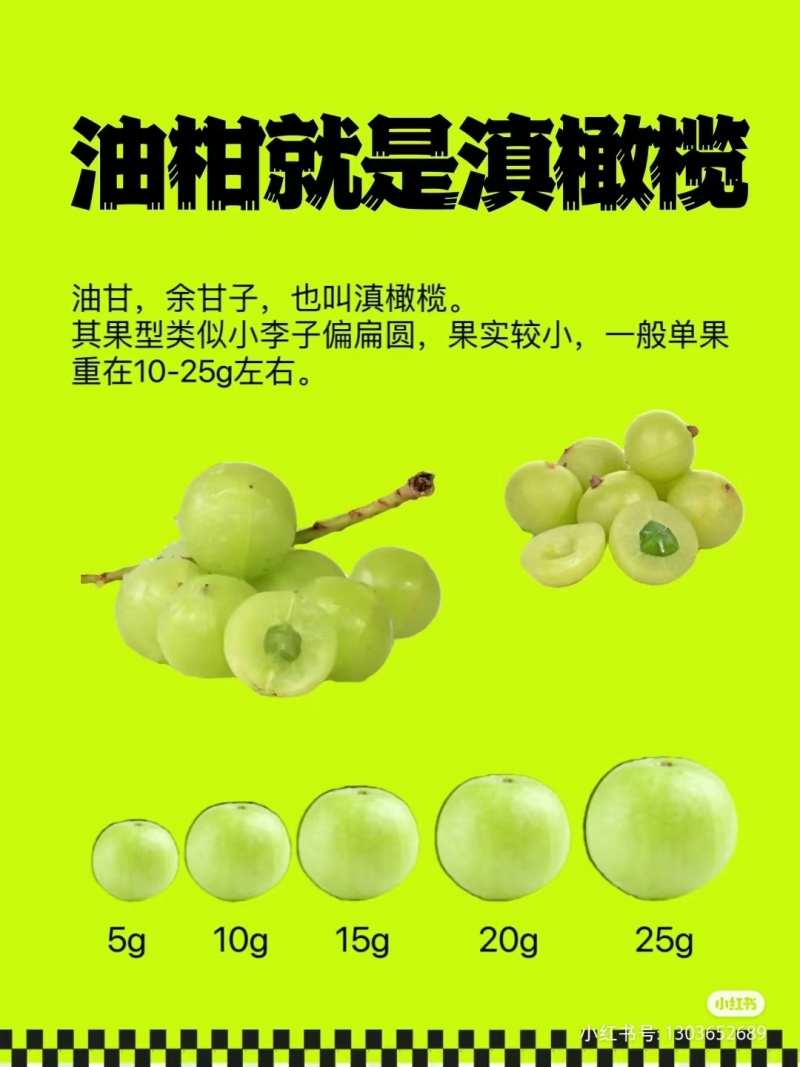 2025年牛柑果原汁正式全面新鲜上市现已和多家企业合作！