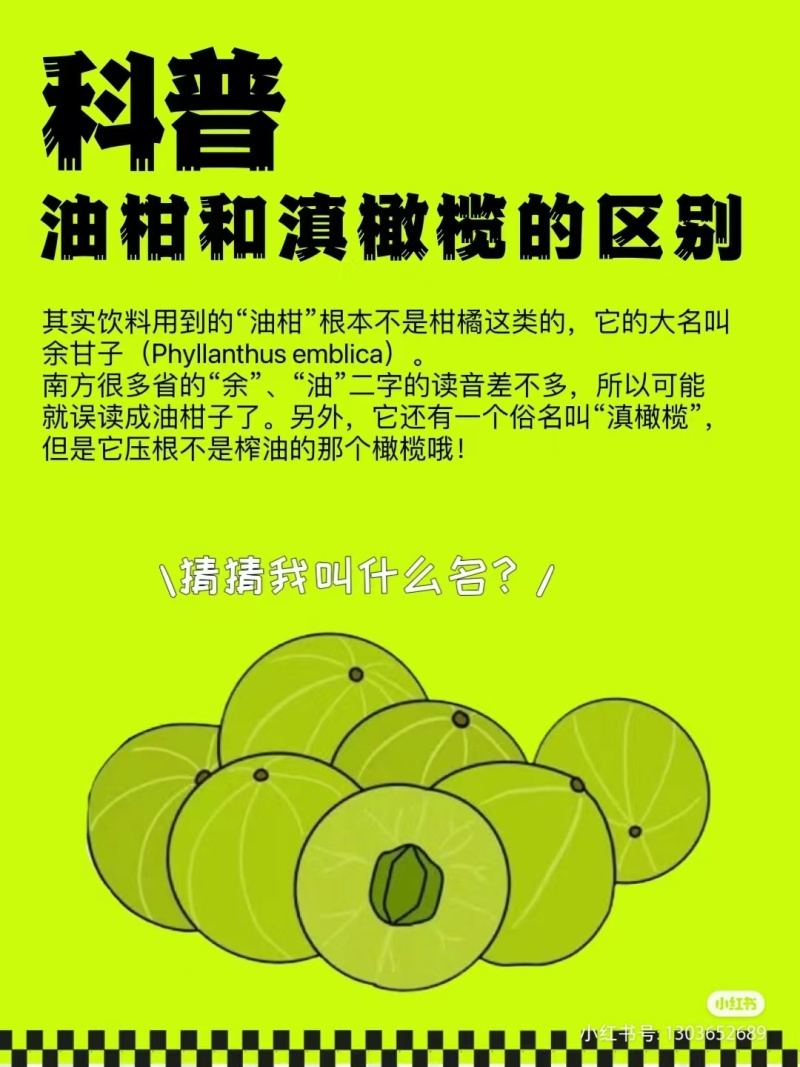 2025年牛柑果原汁正式全面新鲜上市现已和多家企业合作！