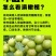 2025年牛柑果原汁正式全面新鲜上市现已和多家企业合作！