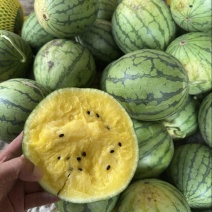 特小凤西瓜江苏产区小兰西瓜大量上市