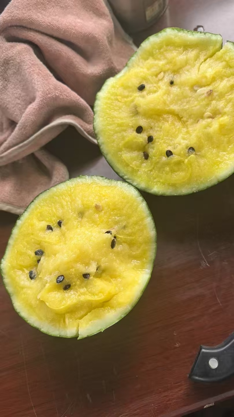 特小凤西瓜江苏产区小兰西瓜大量上市