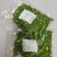 麻辣毛豆冷冻调味剪尾精品毛豆香辣蒜香毛豆凉拌凉菜开味
