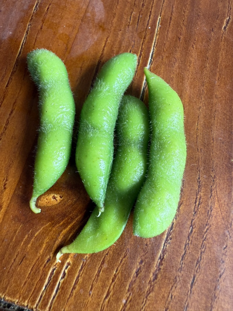 剪尾毛豆精品真空冷冻绿毛豆盐水毛豆香辣凉拌凉菜熟毛豆