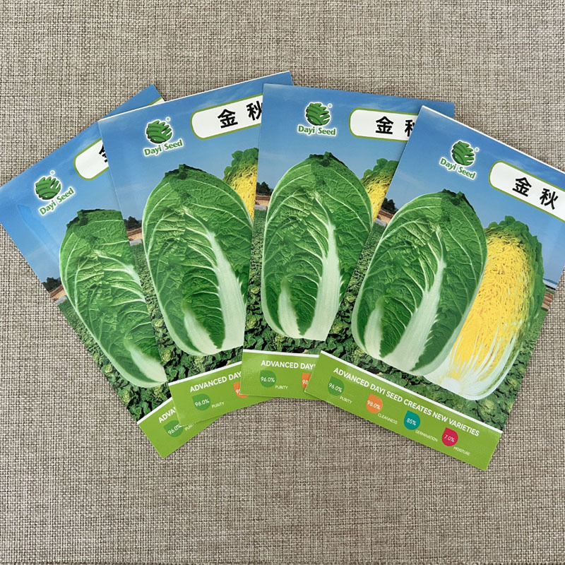 金秋白菜种子早熟黄心大白菜种籽孑秋季抗病黄芯韩国耐抽苔高
