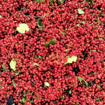 油花椒，
