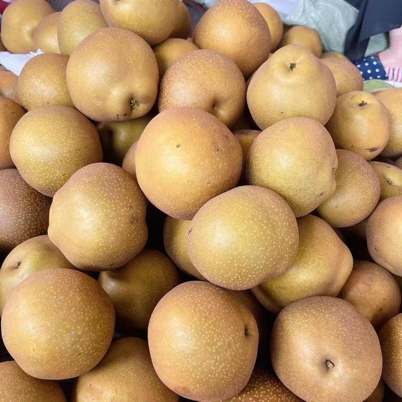 精品黄花梨湖北黄花梨大量供应可视频看货欢迎来电采购