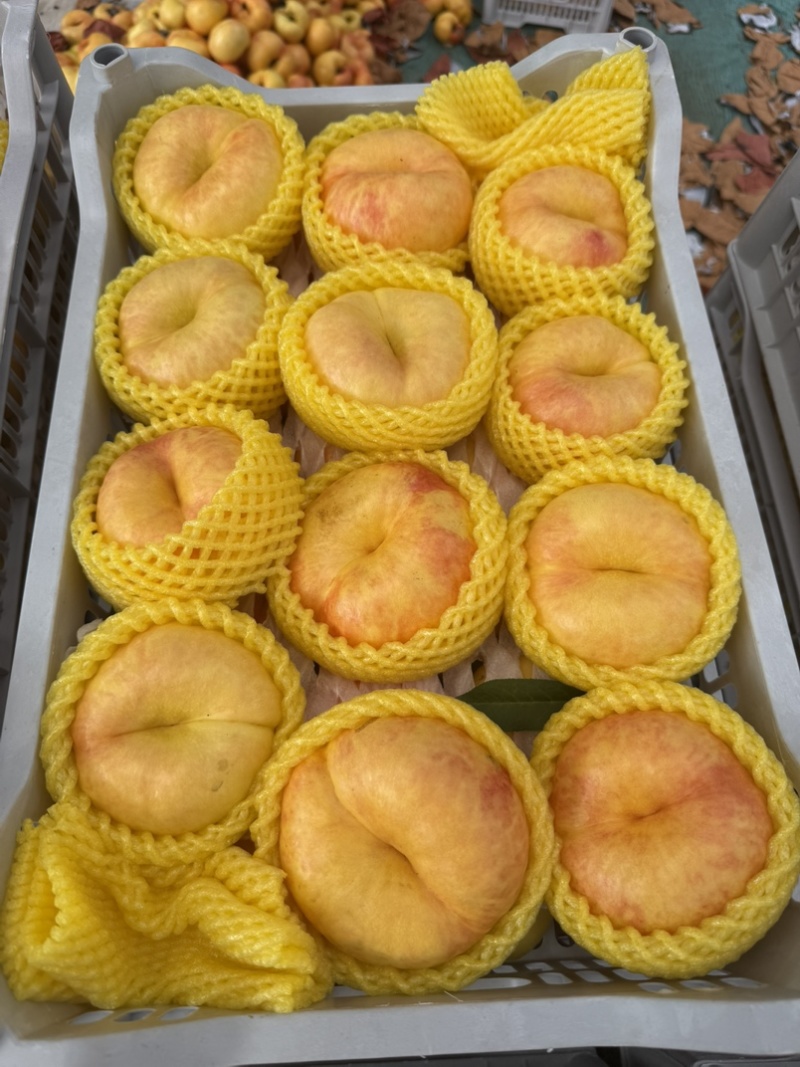 油蟠桃
