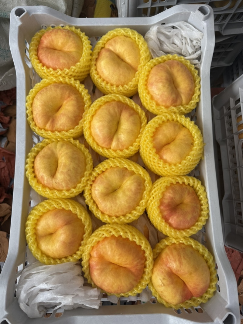 油蟠桃