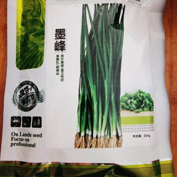 四季香葱种子欧兰德黑叶墨峰小香葱种子种籽高春夏秋蔬菜种子