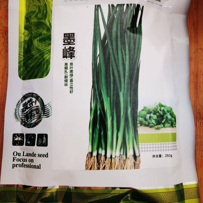 四季香葱种子欧兰德黑叶墨峰小香葱种子种籽高春夏秋蔬菜种子