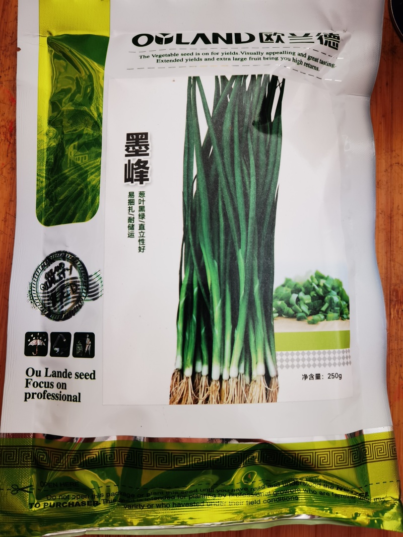 四季香葱种子欧兰德黑叶墨峰小香葱种子种籽高春夏秋蔬菜种子