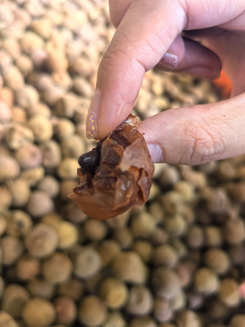 2025看荔枝干新货小核荔枝干桂味荔枝干