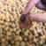2025看荔枝干新货小核荔枝干桂味荔枝干