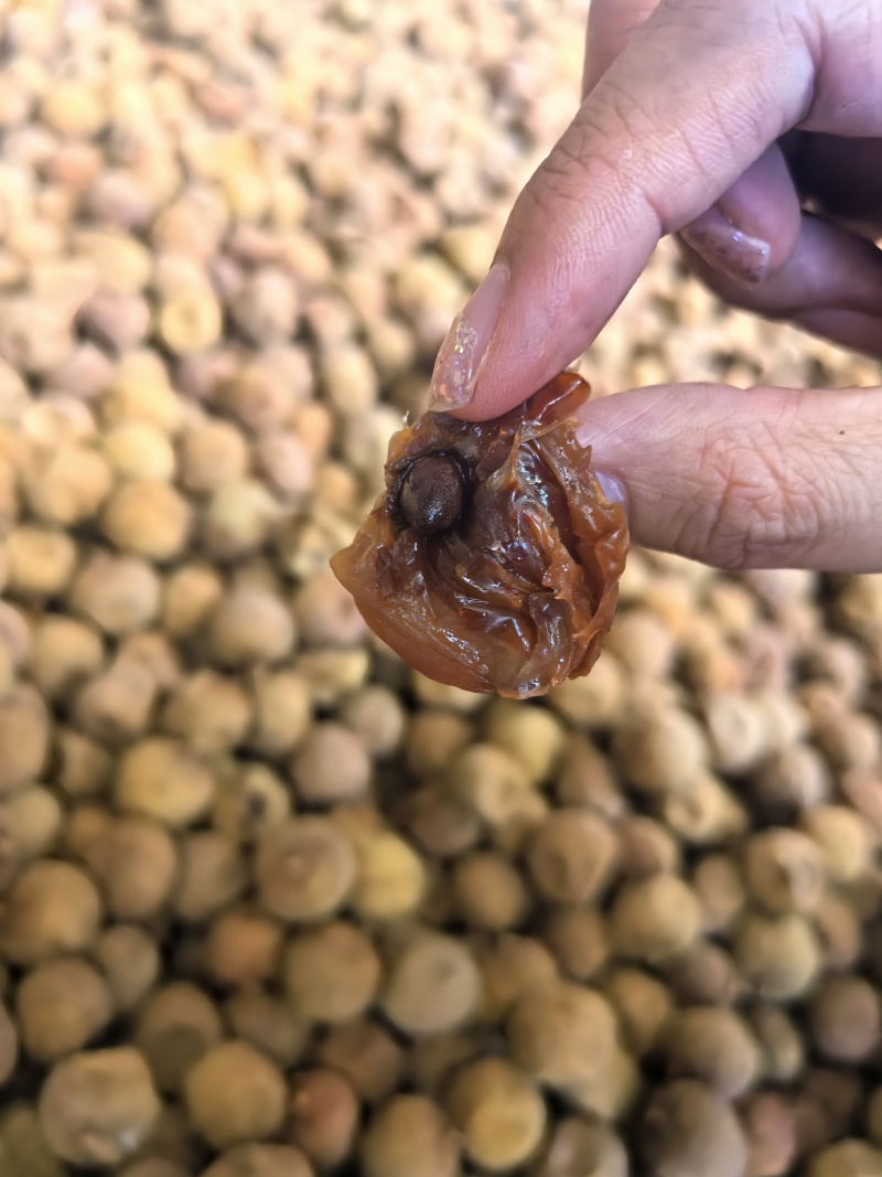 2025看荔枝干新货小核荔枝干桂味荔枝干