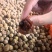 2025看荔枝干新货小核荔枝干桂味荔枝干