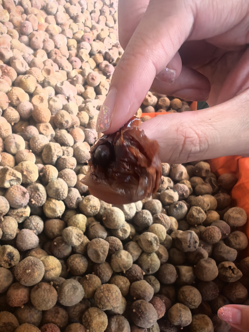 2025看荔枝干新货小核荔枝干桂味荔枝干