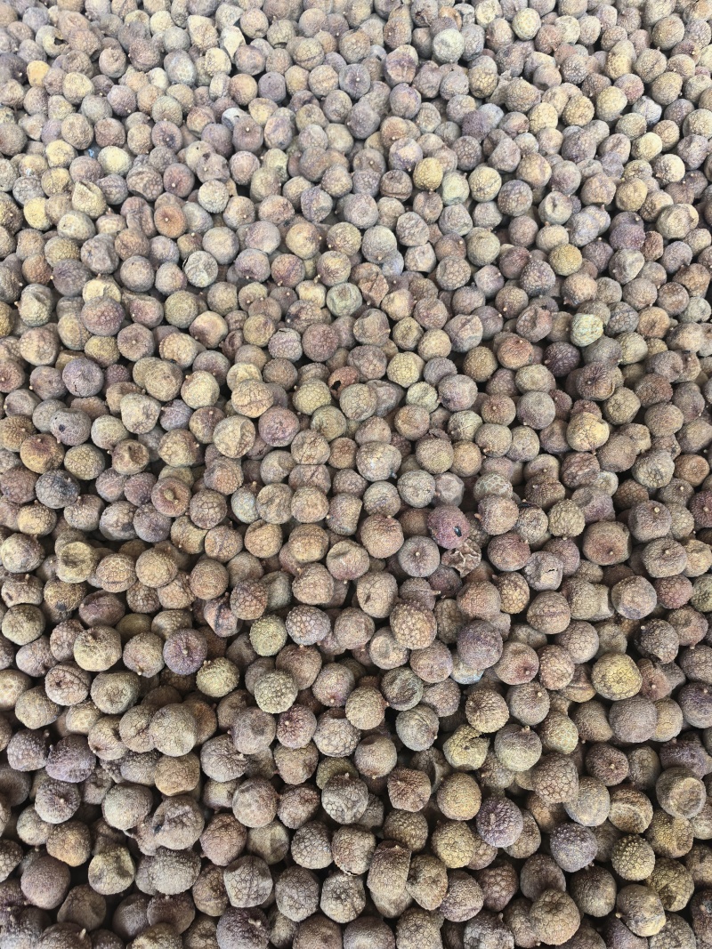 2025看荔枝干新货小核荔枝干桂味荔枝干