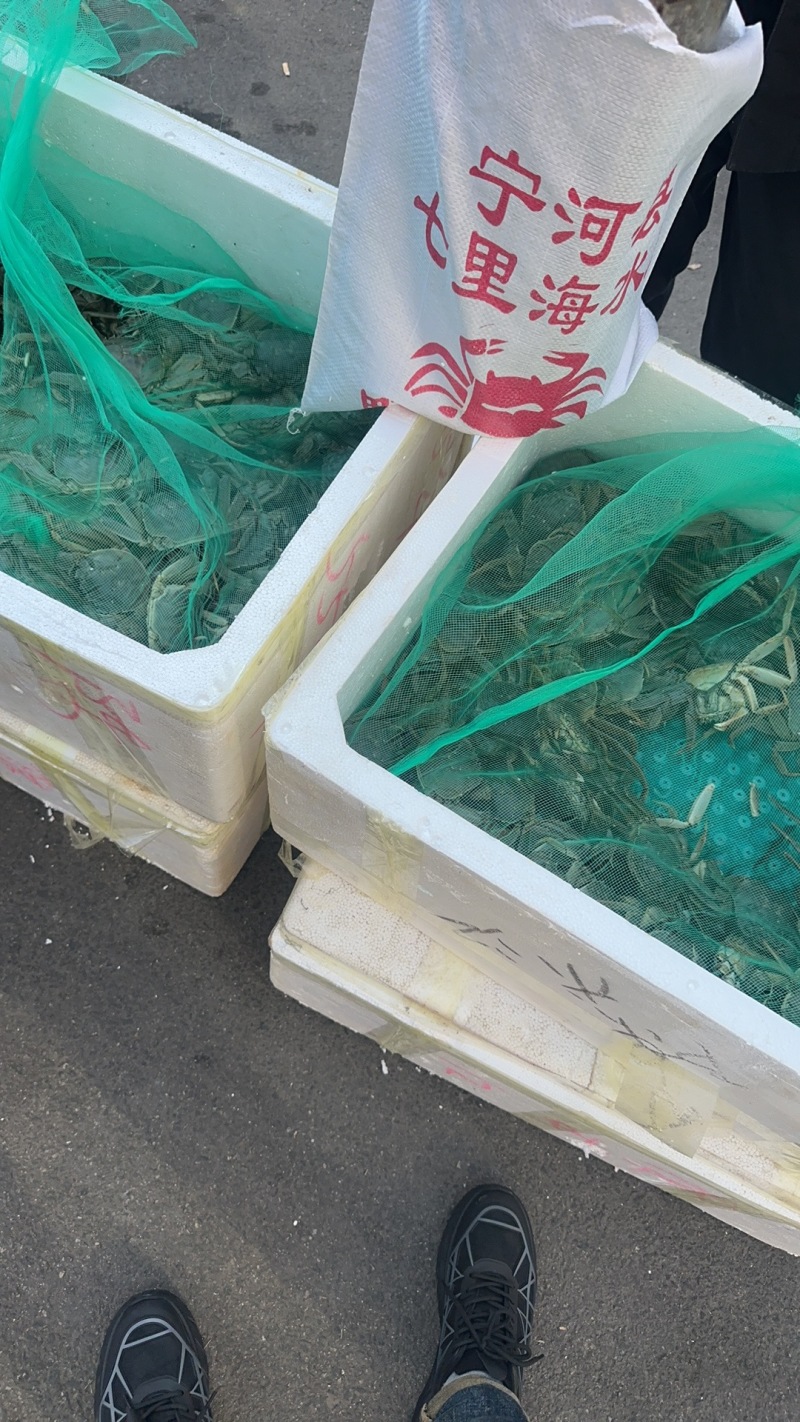 天津七里海河蟹