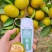 精品湖北蜜橘产地按需供应品质三包果大皮薄纯甜无酸地头采摘