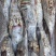 澳洲花龙虾活冻锦绣大花龙鲜活海鲜水产超特大龙虾青龙仔1-