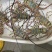 澳洲花龙虾活冻锦绣大花龙鲜活海鲜水产超特大龙虾青龙仔1-