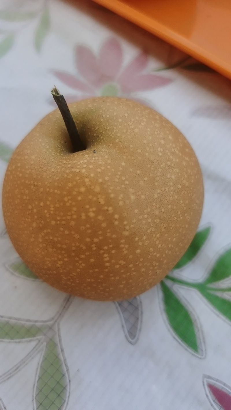 秋月梨产地，脆甜，中秋送礼。最适合不过了。