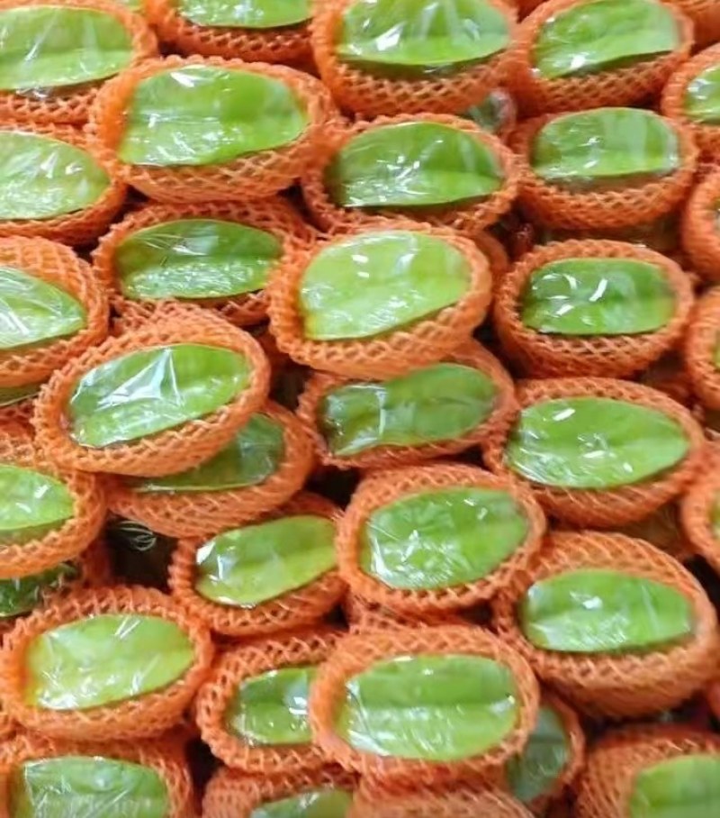 杨桃