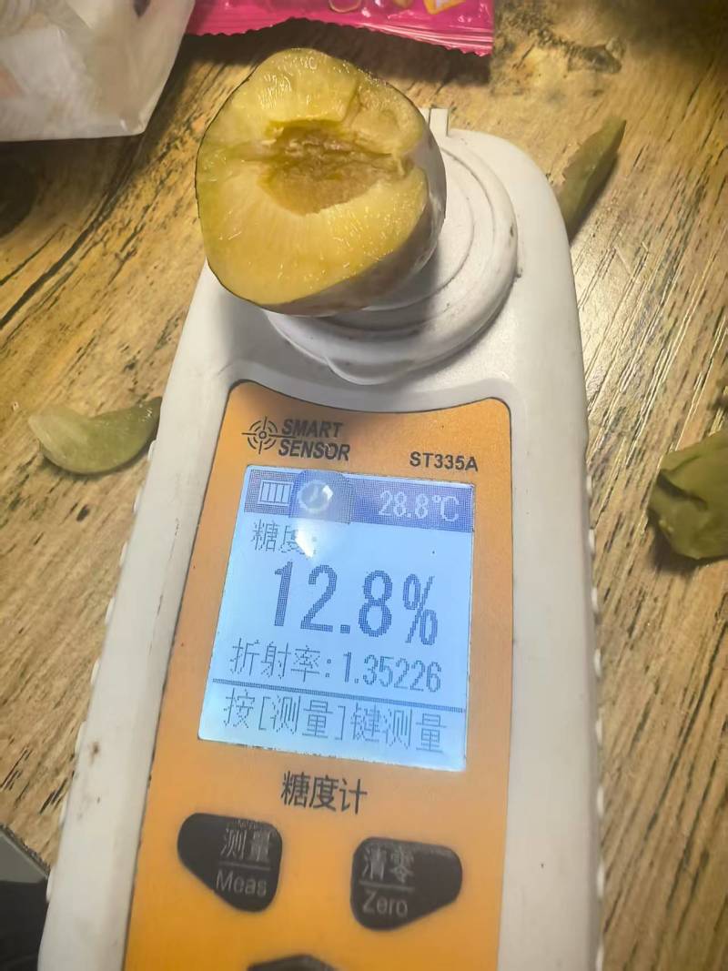 小翠红四川最早成熟的翠红李子