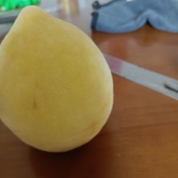 正宗炎陵高山黄桃批发