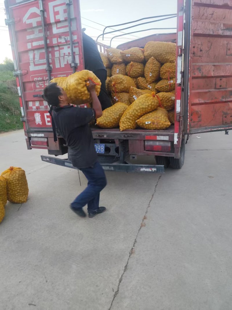 去皮鲜核桃，可手工脱皮可机器脱皮，质量保证，支持一件代发