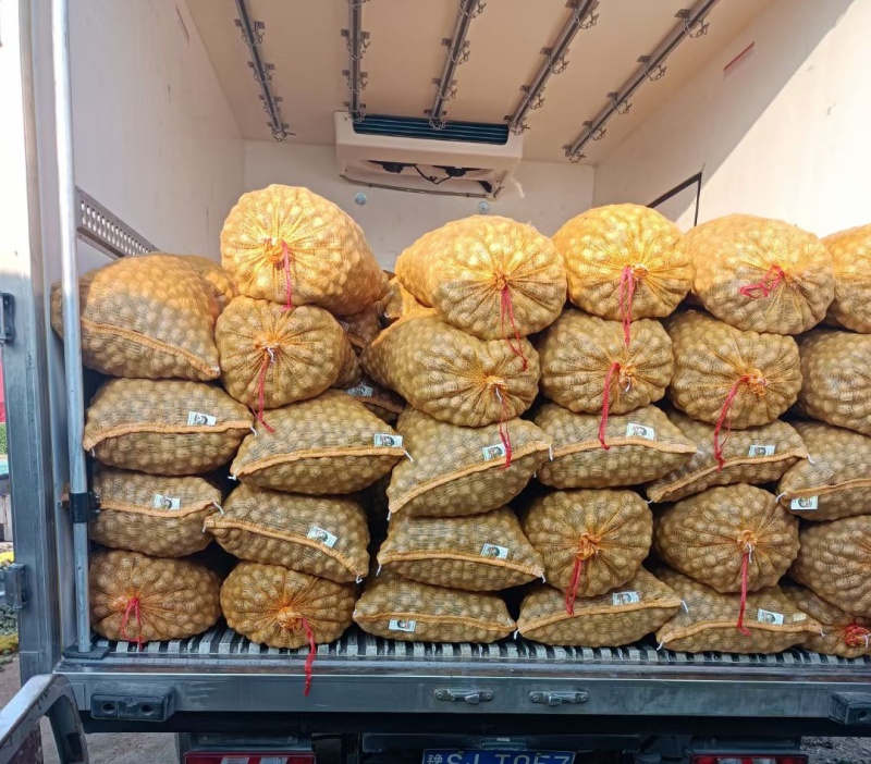 去皮鲜核桃，可手工脱皮可机器脱皮，质量保证，支持一件代发