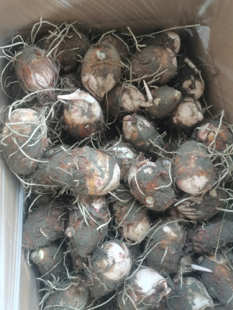 自己场地货源价格优惠品质**