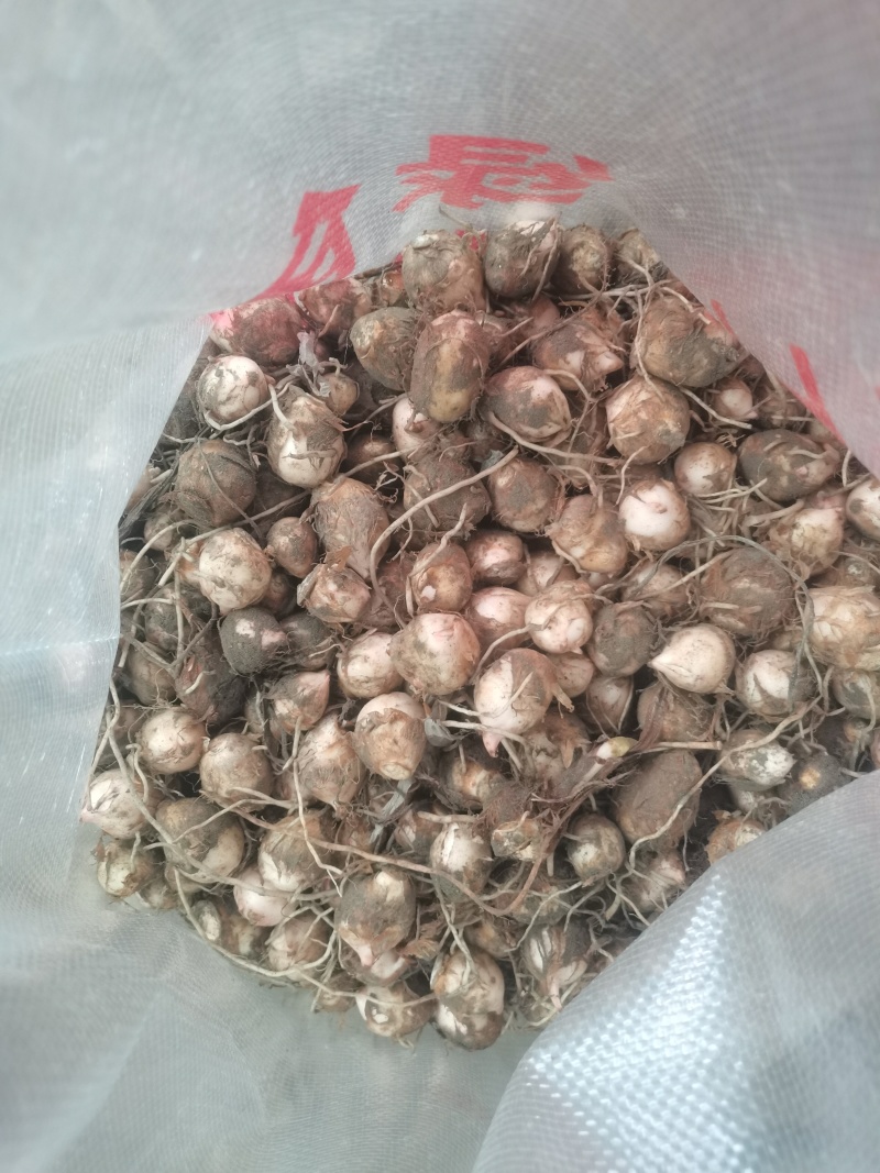 自己场地货源价格优惠品质**