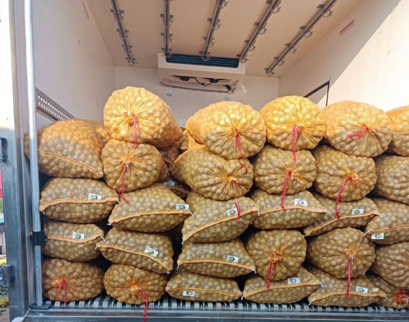 赞皇县辽系去皮鲜核桃批发，可机器脱皮，可代加工，质量保证