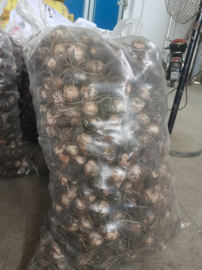 自己场地货源价格优惠品质**