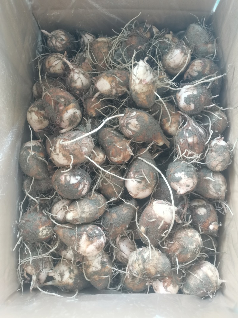 自己场地货源价格优惠品质**