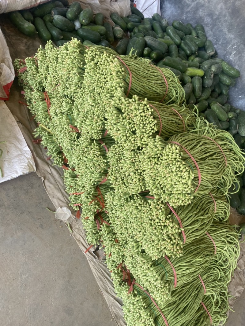 豆角