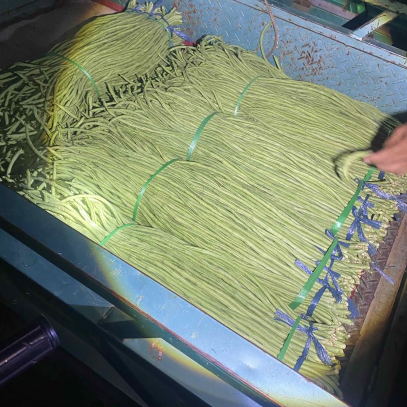 豆角