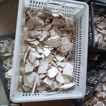 茯苓一两千斤需要联系