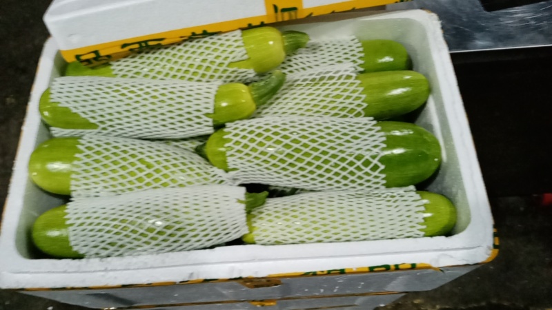 西葫芦量大，品质好！来自海拔2000米的精品蔬菜！