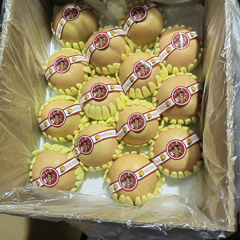 精品丰水梨
