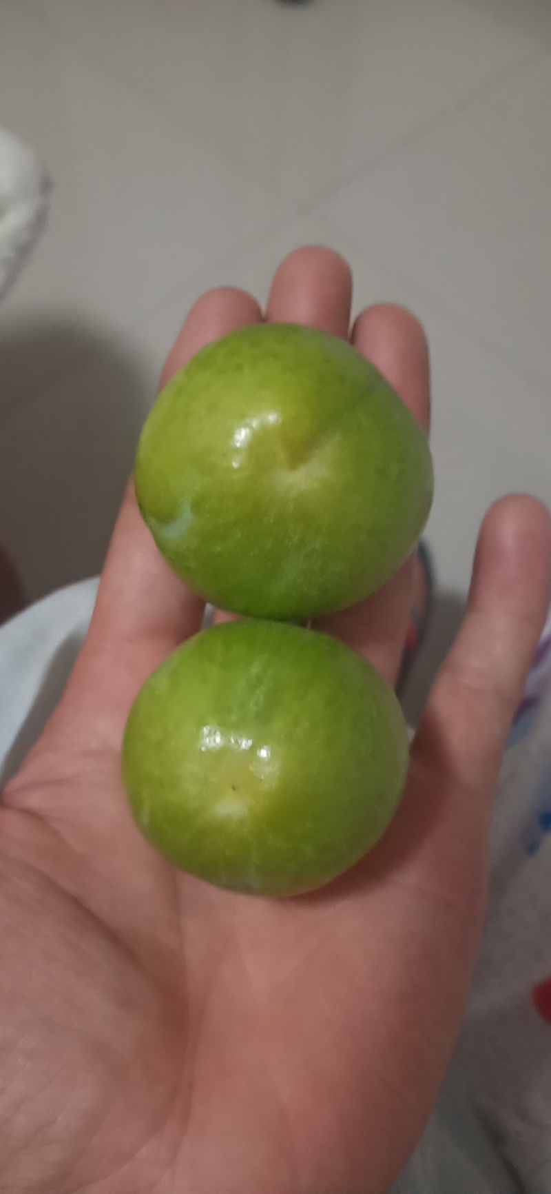 茂汶清脆李
