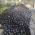 山东茄子黑亮紫光圆茄对接电商市场商超可视频
