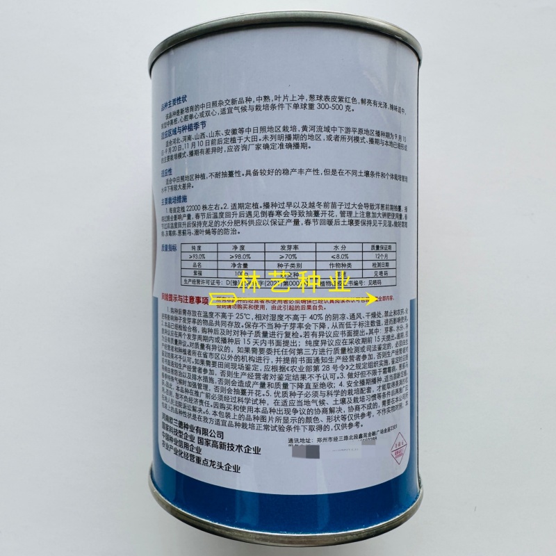 欧兰德紫福洋葱种子杂交一代深紫红皮中早熟抗病高产
