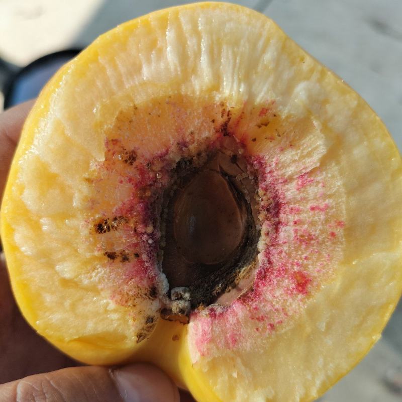黄油桃