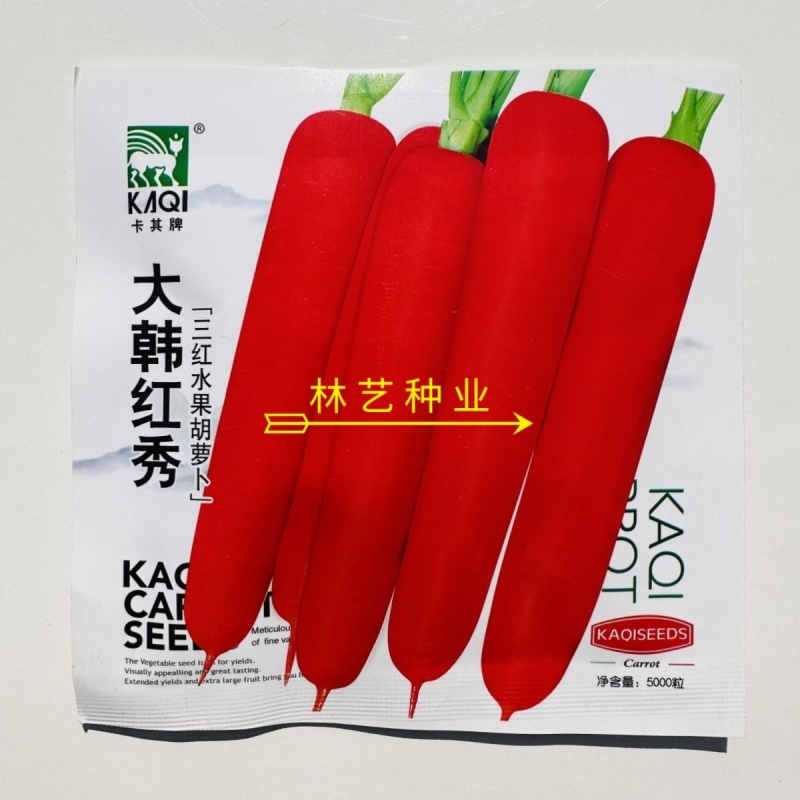 大韩红秀三红水果胡萝卜种子生吃脆甜皮肉心桔红色秋季胡萝卜