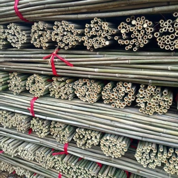 2.5米菜架竹豆角西红柿黄瓜专用竹竿