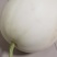 甜瓜