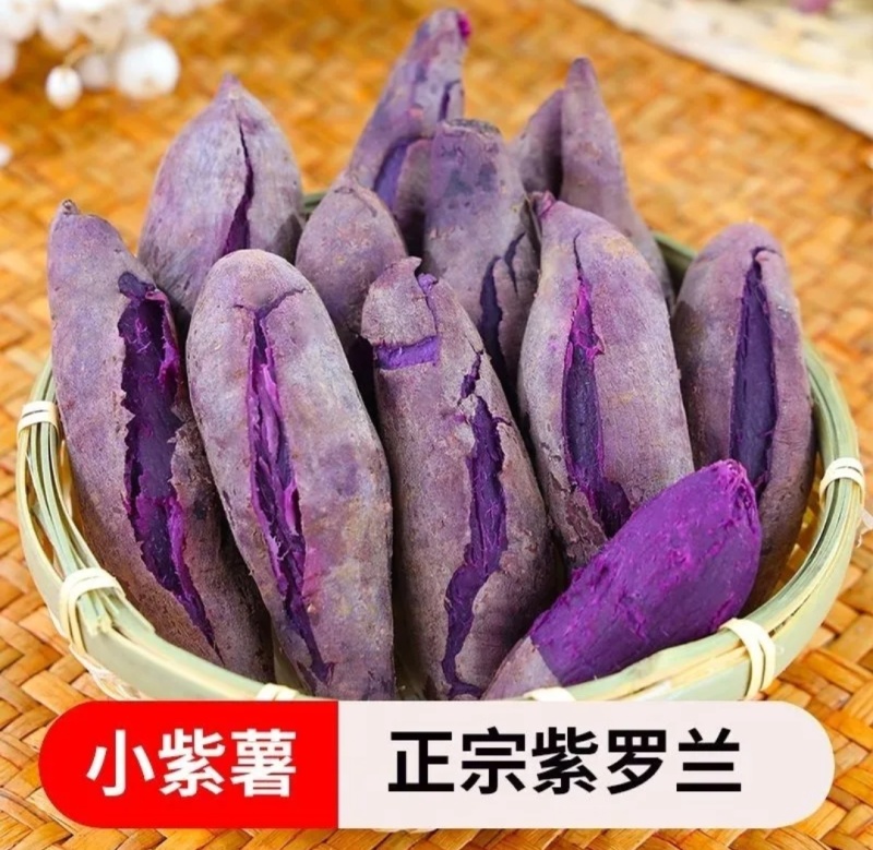 紫薯紫心电商地瓜红薯养殖红薯加工厂红薯
